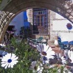 Garden Terrace