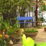 Garden Terrace