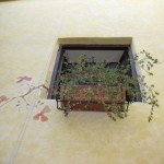 Window Box
