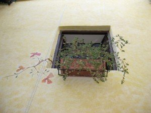 Window Box