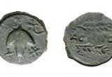 acinipo02-300x150
