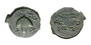 Roman Coins from Acinipo