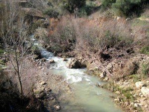 Flooded streams caused chaos