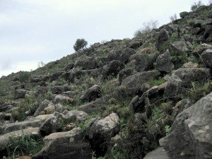 cartajima10