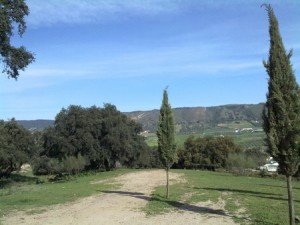 rondawalk-dehesa03
