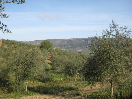 rondawalk-dehesa10