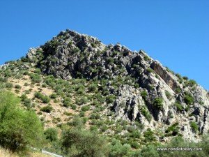 benaojan09