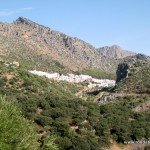 benaojan-jimeradelibar-walk01