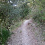 benaojan-jimeradelibar-walk05