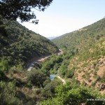 benaojan-jimeradelibar-walk07