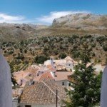 Parauta Views