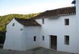 IMG_7351