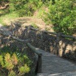 El Bosque Botanical Gardens