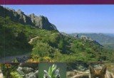 andalusian-sierras-malage-to-gibraltar-crossbill-guides