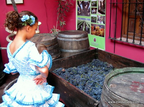 Damas Goyescas Stomp Grapes at the Wine Museum of Ronda