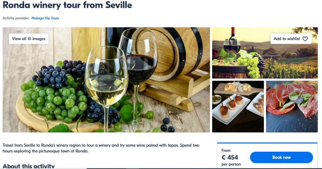 Private wine tour from Seville to Ronda