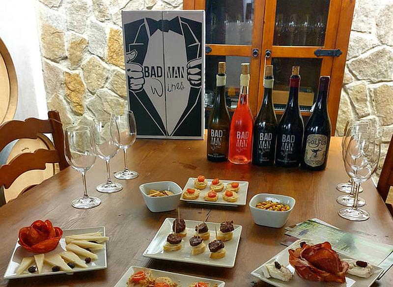 Wine tasting tours and visiting a winery in Ronda.